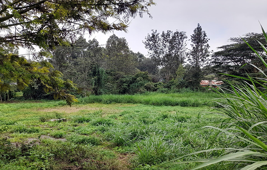 Ngong Residential Plot